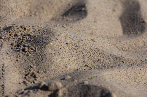 Seashells on the sand, close-up