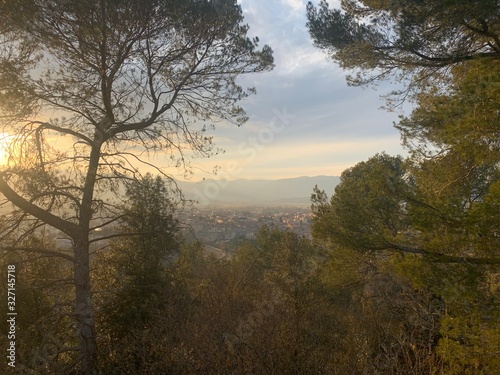 sunset in forest