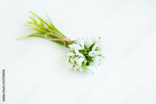 Three snowdrop flowers tied up with a rope isolated on white background