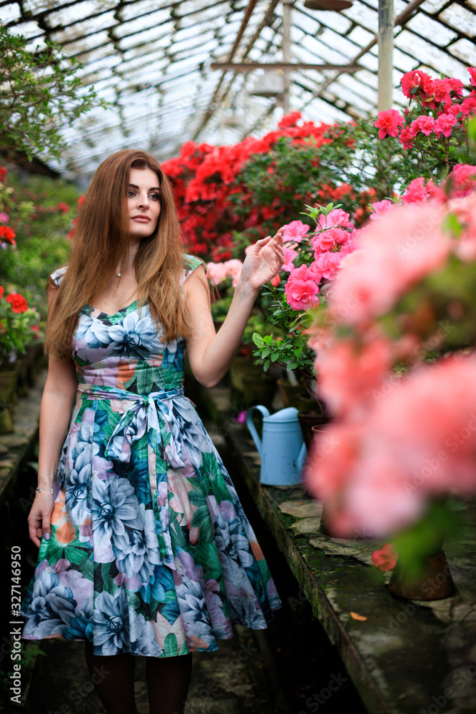 young girl admires blooming azaleas in a botanical garden young girl admires blooming azaleas in a botanical garden