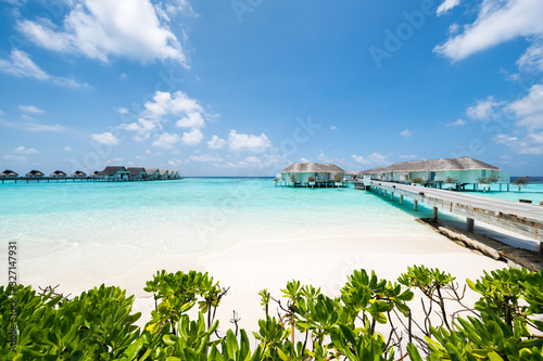 Fototapeta Naklejka Na Ścianę i Meble -  Summer vacation on a tropical island in the Maldives