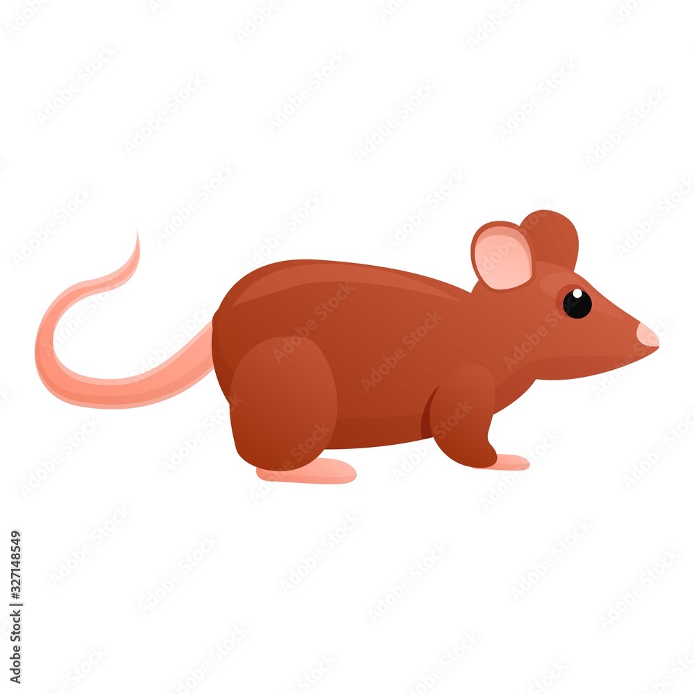 Wild rat icon. Cartoon of wild rat vector icon for web design isolated on white background