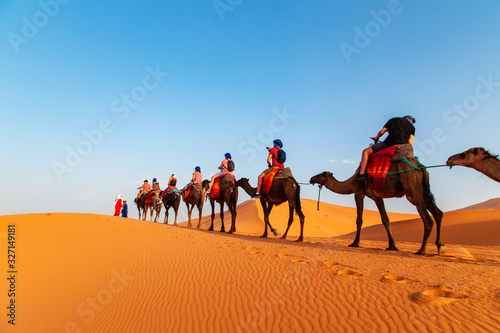 Camel caravan at sunset in the Sahara desert. photo