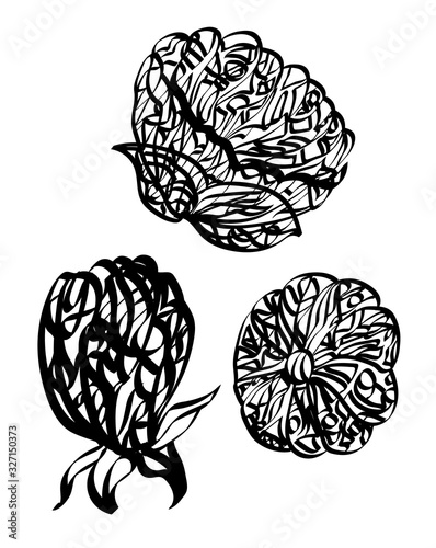 A three flowers painted in calligraphic style. 