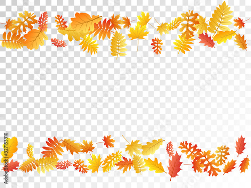 Oak, maple, wild ash rowan leaves vector, autumn foliage on transparent background.