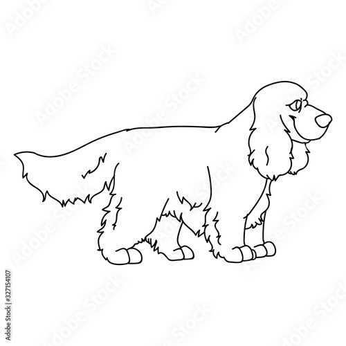 Cute cartoon monochrome lineart cocker spaniel dog vector clipart. Pedigree kennel doggie breed for dog lovers. Purebred domestic puppy for pet parlor illustration mascot. Isolated canine hunting. 