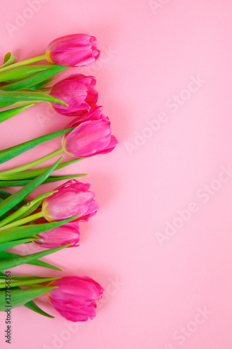 Fototapeta Naklejka Na Ścianę i Meble -  bouquet of tulips on a pink background