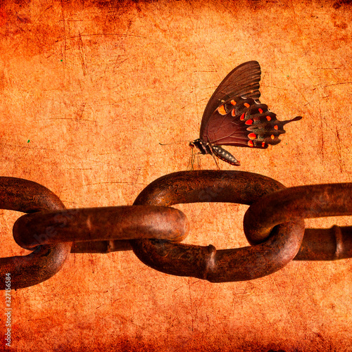 Collage of a butterfly sitting chain