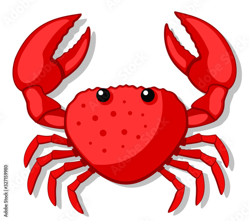 Crab with large claws on a white background. The form of the top.