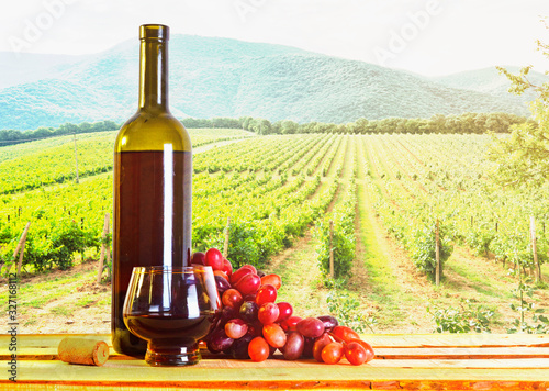 Fototapeta Naklejka Na Ścianę i Meble -  Brandy and fruit grapes on a vineyard background