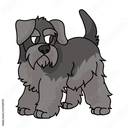 Cute cartoon schnauzer puppy dog vector clipart. Pedigree kennel doggie breed for dog lovers. Purebred domestic terrier for pet parlor illustration mascot. Isolated canine English hunting breed. 