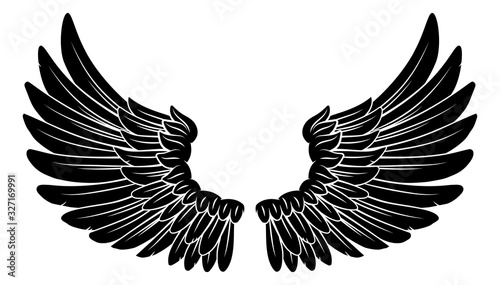 A pair wings like those of ...