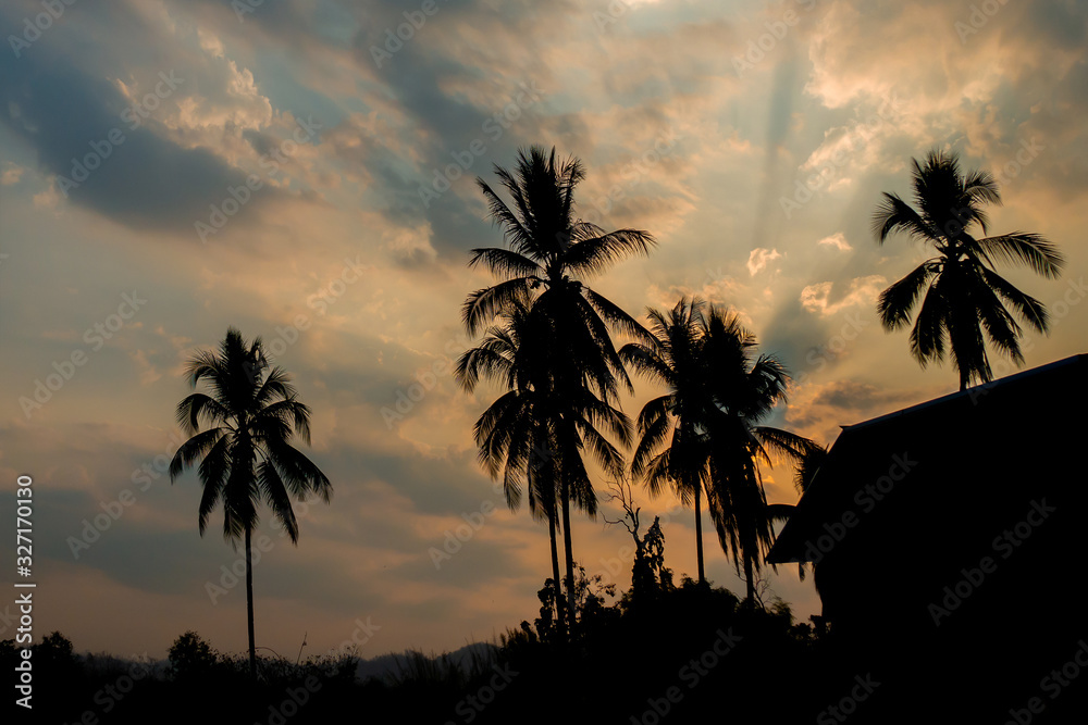 The silhouette coconut trees with the dark evening sky and part of house or cottage.