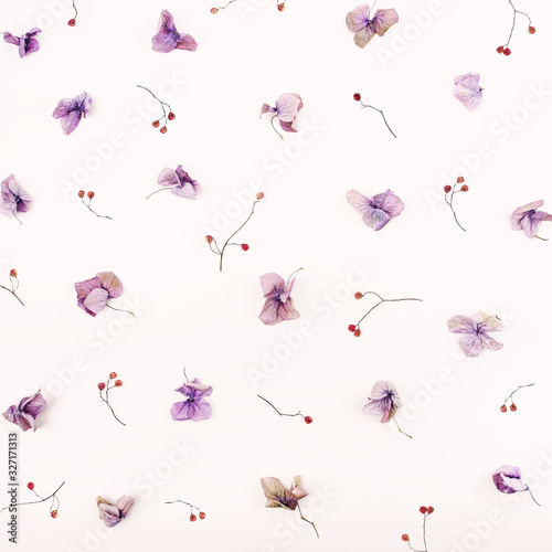 .Composition of dried flowers and herbs. Light background pattern