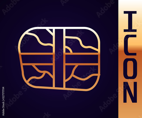 Gold line Package with cocaine icon isolated on black background. Health danger. Vector Illustration