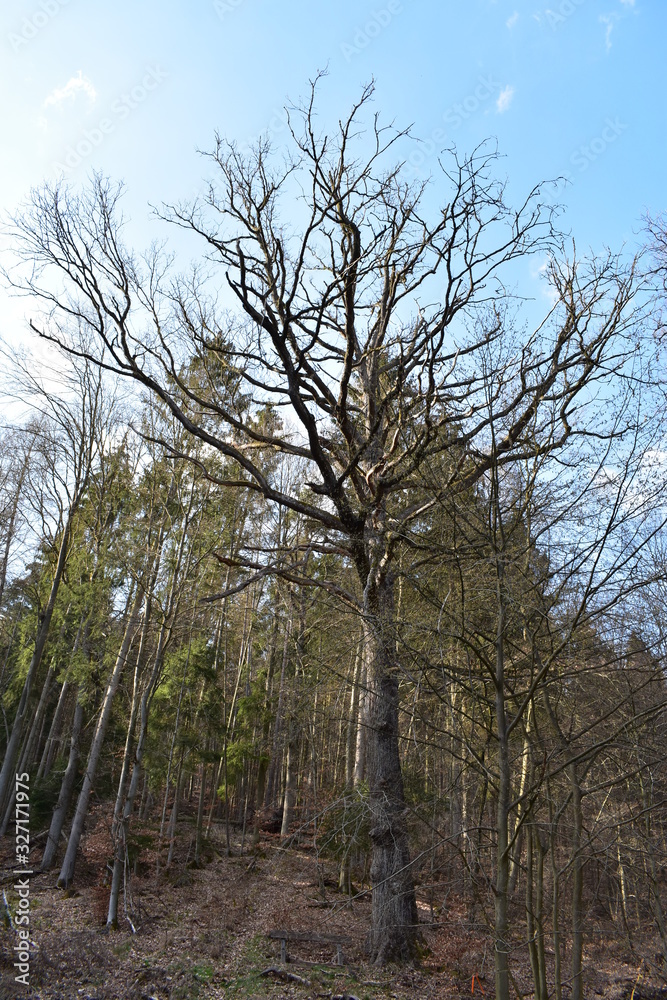 Natur, Tiere Natur, Tiere