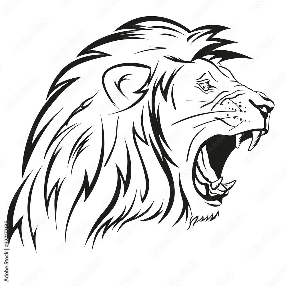 Testa leone Testa leone