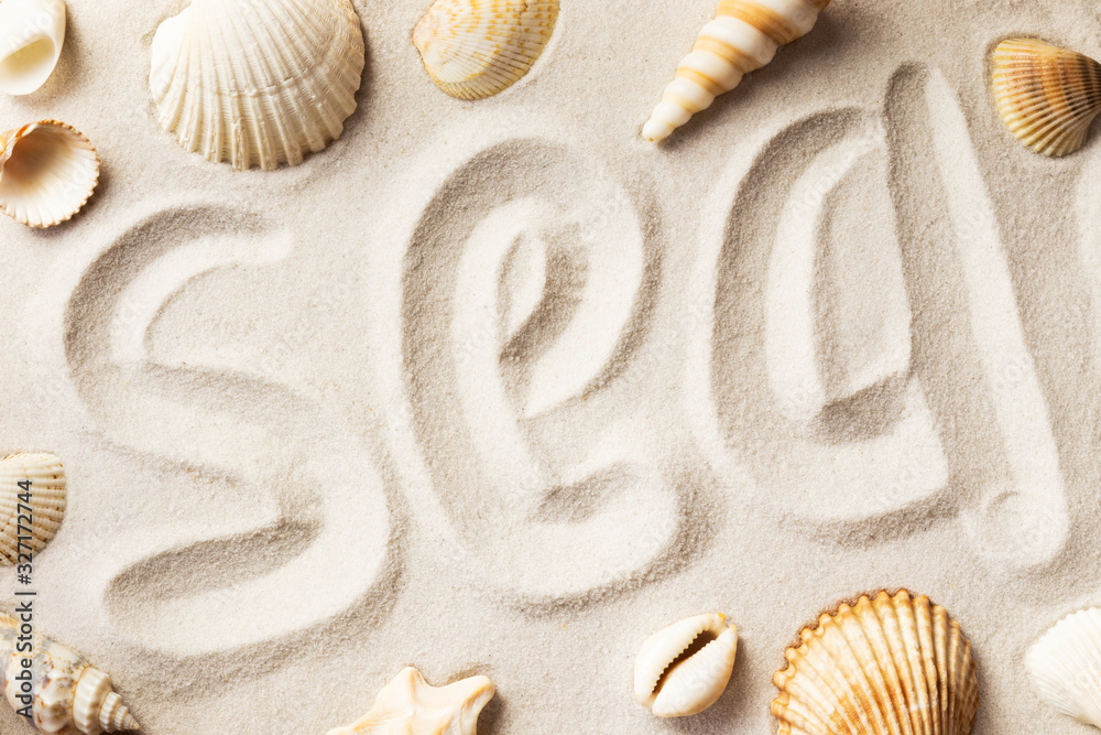 summer background with seashells in the sand, horizontal top view, with the inscription sea
