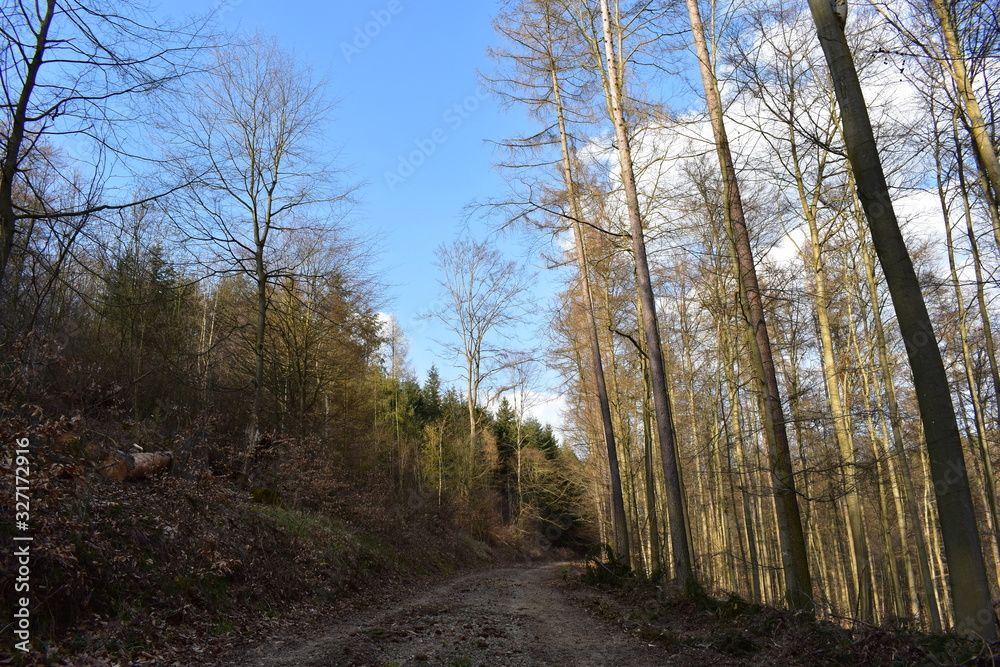 Natur, Tiere Natur, Tiere