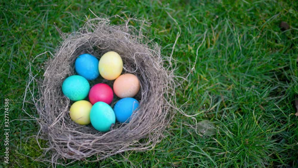 Colorful easter egg in a nest on the lawn. Easter egg hunt In garden easter concept background. Colorful easter egg in a nest on the lawn. Easter egg hunt In garden easter concept background.