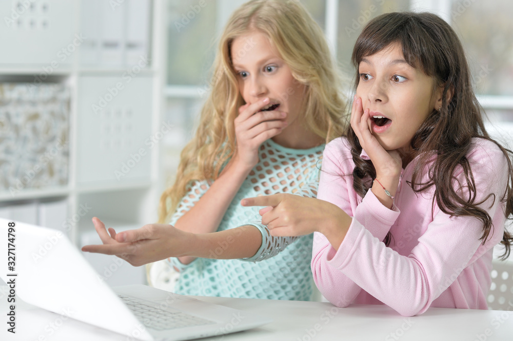 Two smiling teenage girls pointing at modern laptop Two smiling teenage girls pointing at modern laptop