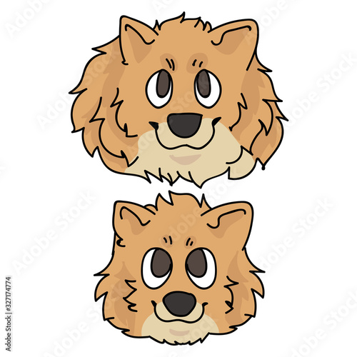 Cute cartoon pomeranian face dog and puppy breed vector clipart. Pedigree kennel doggie breed for dog lovers. Purebred domestic for pet parlor illustration mascot. Isolated canine fluffy spitz. EPS.