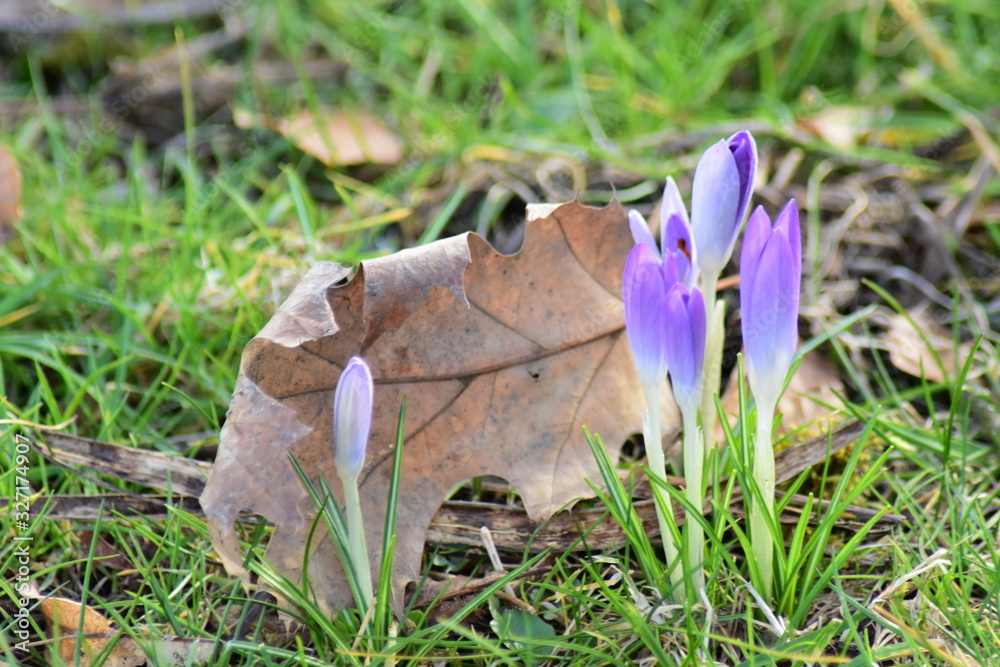 Natur, Tiere Natur, Tiere