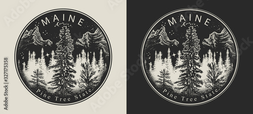 Maine. United States of America (USA). Pine Tree state slogan. Travel and tourism concept. Template for clothes, t-shirt design. Vector illustration
