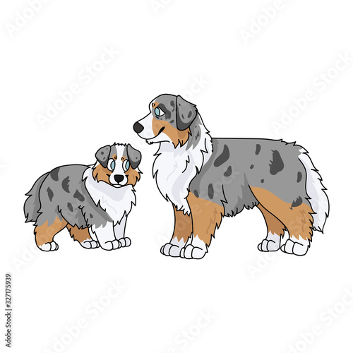 Cute cartoon australian shepherd dog and puppy vector clipart. Pedigree kennel doggie breed for dog lovers. Purebred domestic for pet parlor illustration mascot. Isolated canine English hunting breed.