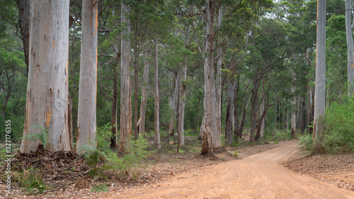 Foto Mount Frankland National Park, Western Australia