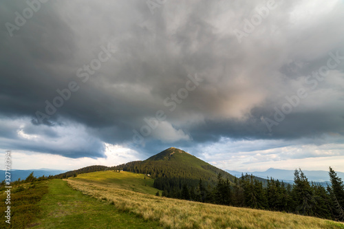 Panoramic summer view, green grassy valley on distant woody mountains background under cloudy sky.