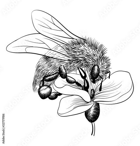 bee on a flower on white background. vector monochrome illustration