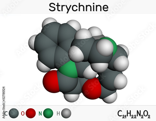 Strychnine, C21H22N2O2,  molecule. It is monoterpenoid indole alkaloid, is from the seeds of the Strychnos nux-vomica tree. Used for destroying rodents. Molecular model