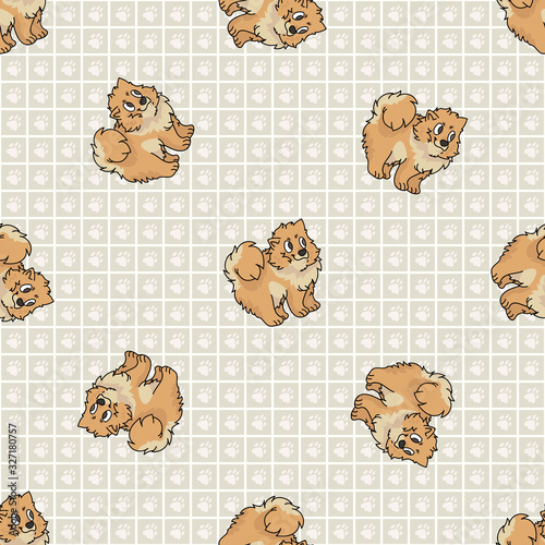 Hand drawn cute pomeranian puppy breed dog seamless vector pattern. Purebred pedigree domestic dog on paw background. Dog lover spitz pet all over print. Kennel pooch. EPS 10.  photo