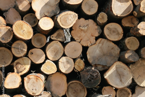 Missouri Logging 2020 I 
