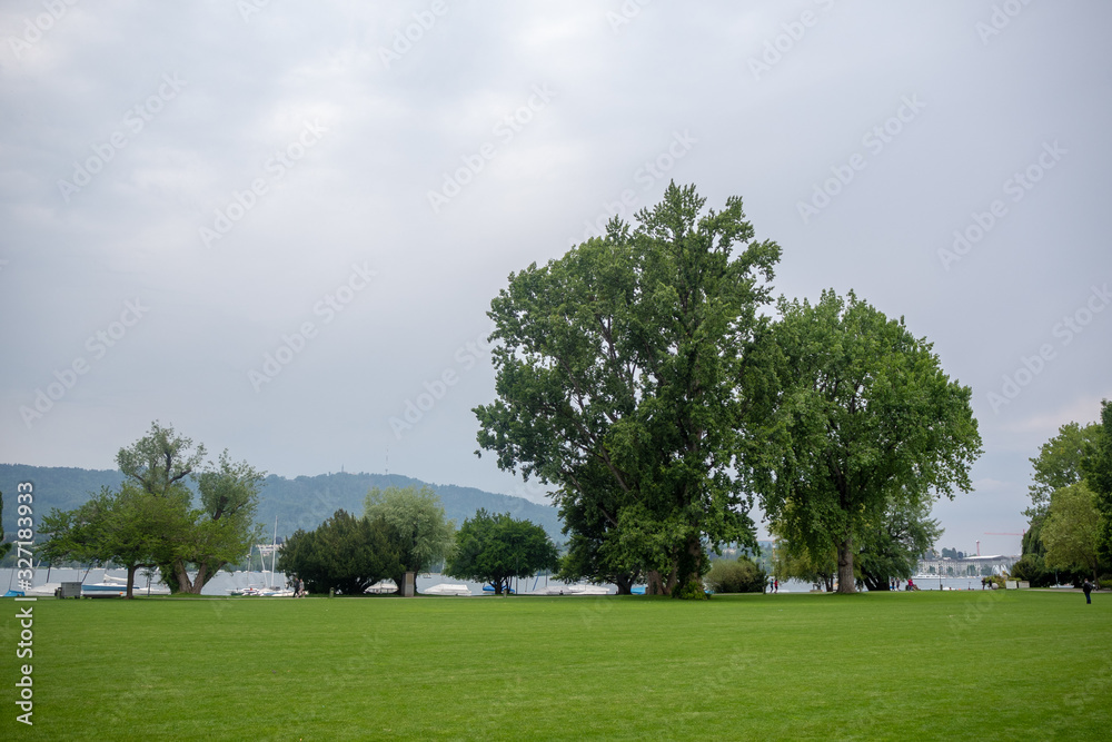Beautiful scene of lush trees and fresh green field in public park on cloudy sky background , copy space, Zurich , Switzerland