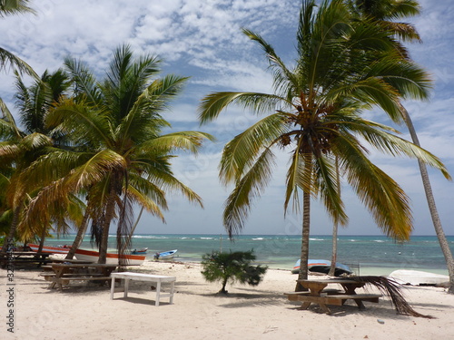 Beach impression under palm trees on a Caribbean coast © Sylke