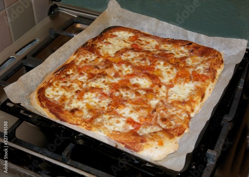 just baked ,hot pizza for supper