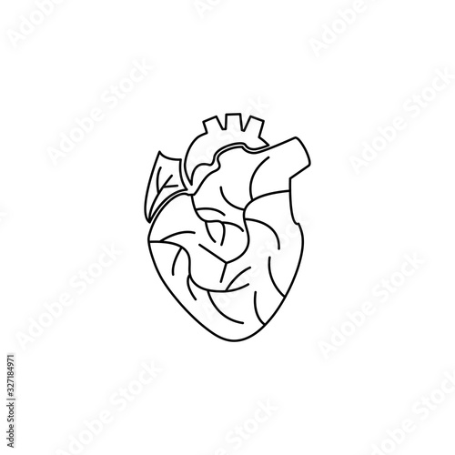 Heart, Man heart, human heart icon