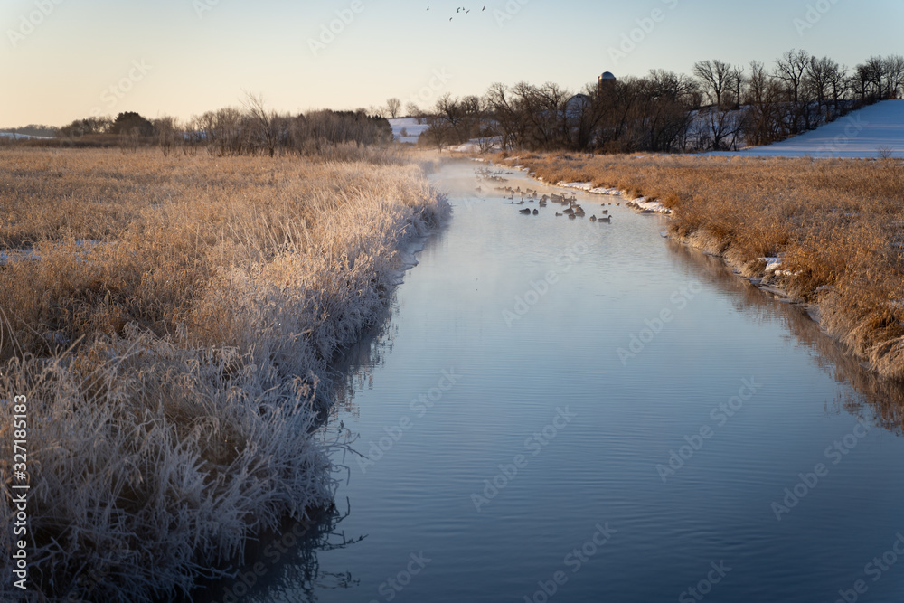 Obraz premium river in winter with geese