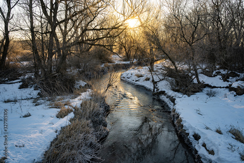 river in the forest in winter