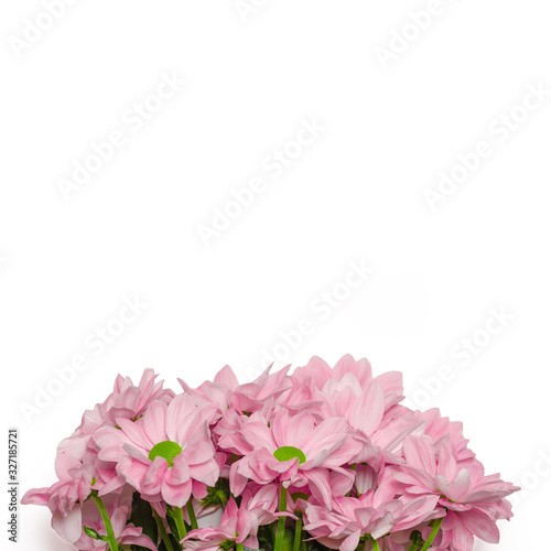Lovely pink flower bouquet present isolated