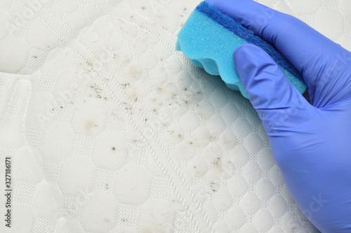 Removing mold stains from the mattress. Hand holds a sponge. Fungus, mould, mildew or dust.