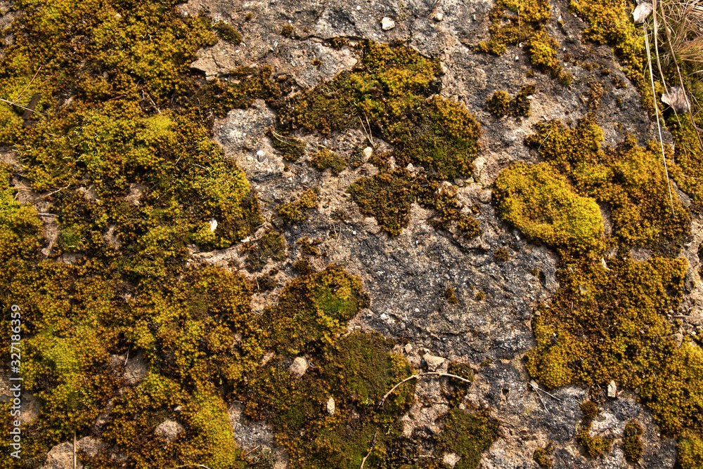 texture of stone rock background