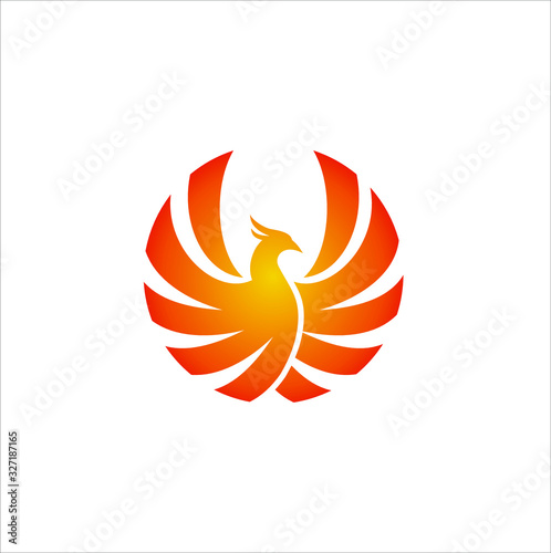 luxury phoenix logo design. Creative phoenix bird logo vector Illustration