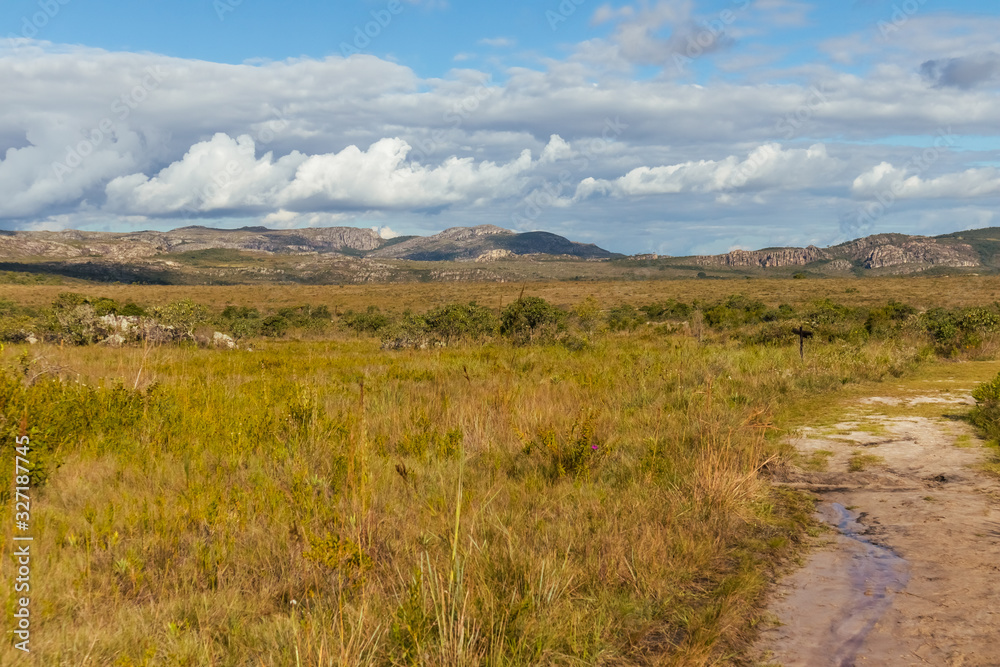 Mountains and vegetation of rupestrian fields in the region of the city of Serro, Minas Gerais, Brazil