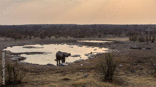an elephant quenching its thirst at the Okaukuejo waterhole in Namibia's Etosha National Park.