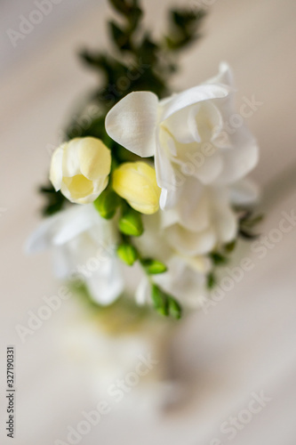 macro photography of white freesia flowers © Дмитрий Ильченко