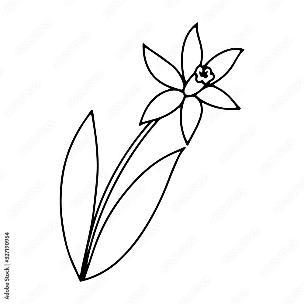 Cartoon icon with colorful flower daffodil outline doodle on white background for wallpaper design. Ornament illustration. Element decorative floral easter. flower sketch on white background Cartoon icon with colorful flower daffodil outline doodle on white background for wallpaper design. Ornament illustration. Element decorative floral easter. flower sketch on white background