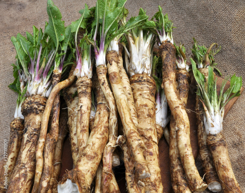 Photos Fresh, dug-out horseradish